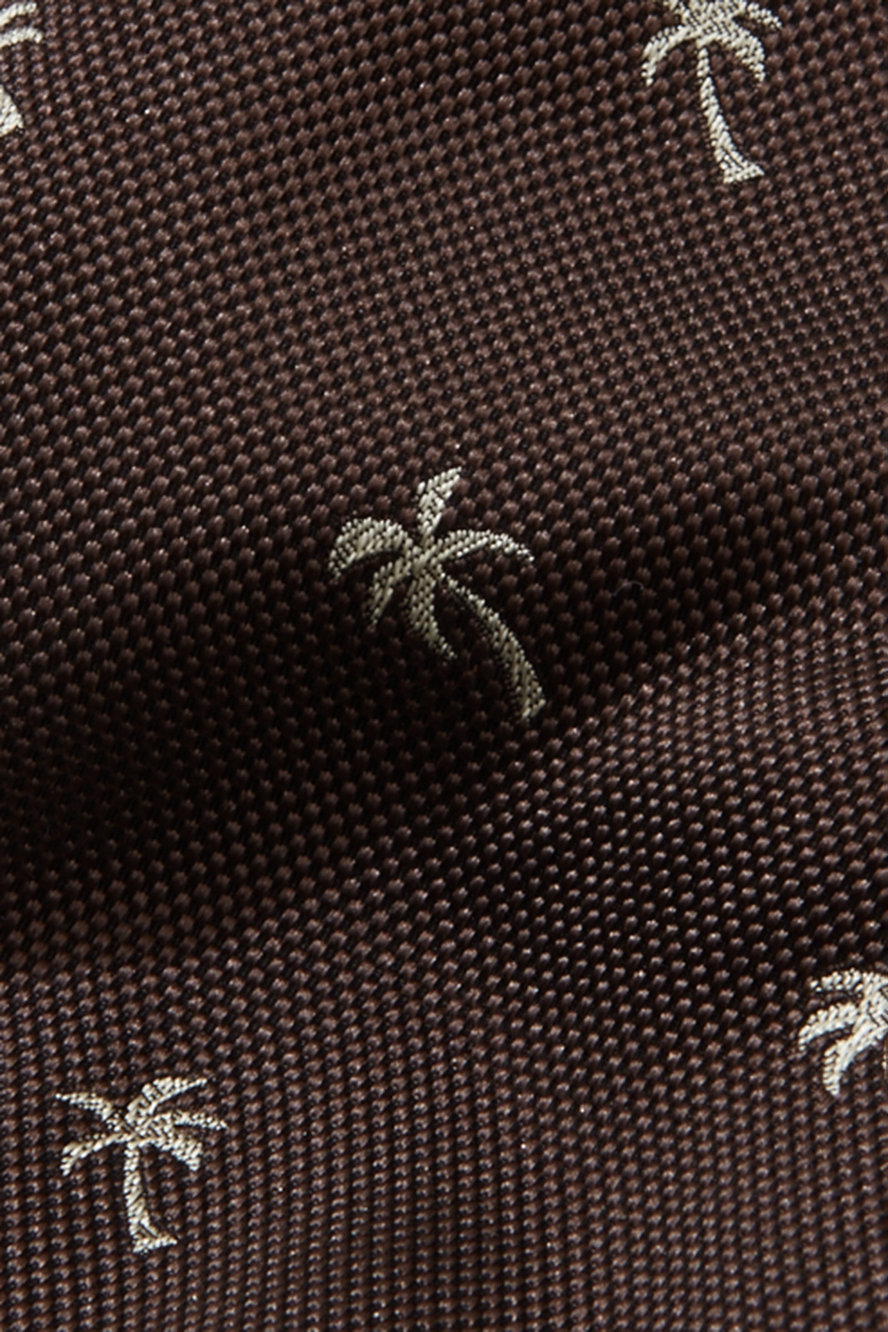Cocoa Palm Silk Tie